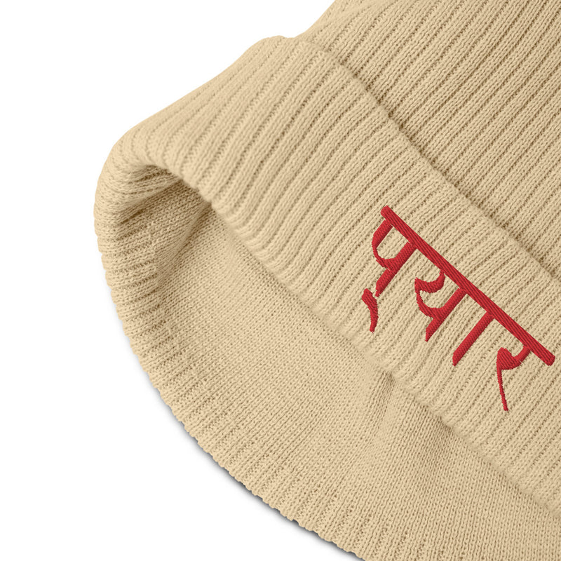 Love Beanie Hindi